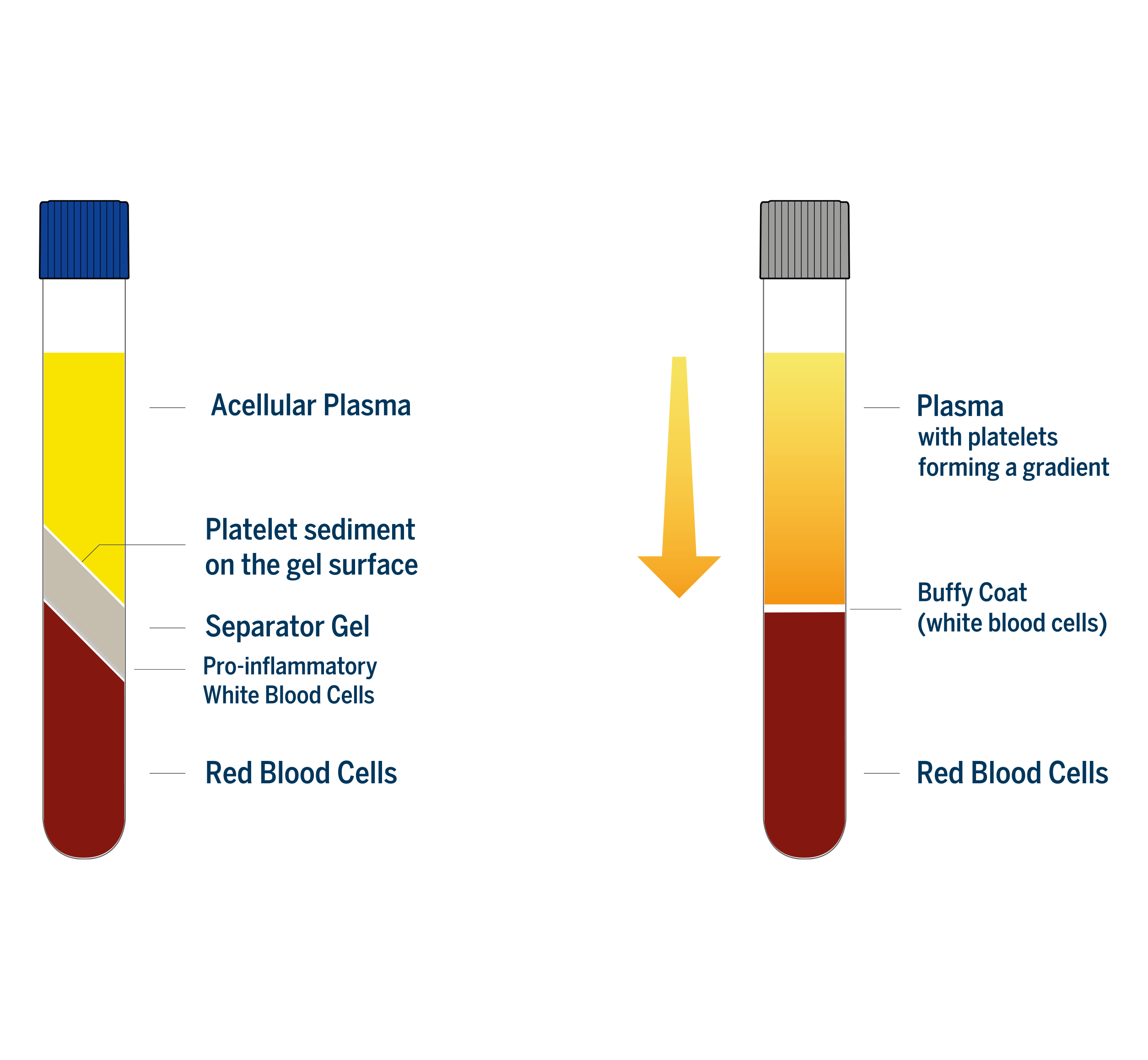 platelet-concentration-concentration-factor-regenlab-usa